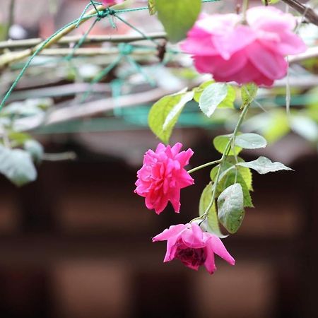 Chicken'S House- Duong Lam Homestay Hanoi Exterior photo